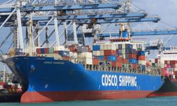 COSCO, 29 gemiyi içeren yeni inşa hamlesi