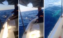 Çapa halatına dolanan köpekbalığı balıkçılara korku dolu anlar yaşattı