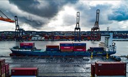 Ellerman City Liners, Viasea’yı satın aldı