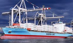 Negmar, Maersk’ten 2 konteyner gemisi satın aldı