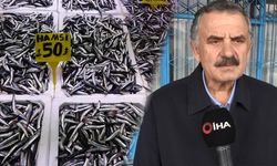 Recep Denizer: "Hamsi Türk karasularını terk etti"