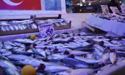 Hamsi zirvedeki yerini bıraktı