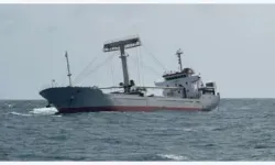 Vietnam ve Malezya, batan kargo gemisinden mürettebatı kurtarmak için koordine oldu