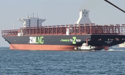 ZIM Entegre Nakliye Hizmetleri, yönetim krizinin eşiğinde