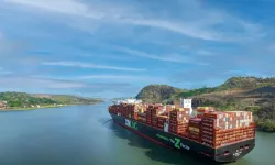 ISS, Zim'in yönetim kurulu mücadelesine dahil oldu