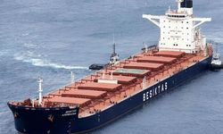 Beşiktaş Shipping 99 milyon dolarlık yatırımla filosunu büyüttü