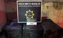 Mersin Limanı'nda kokain operasyonu