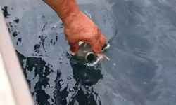 "Rize-Çayeli açıklarında petrol sızıntısı analizleri olumlu çıktı"