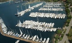 CVC Capital, D-Marin'i satıyor