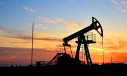 Bimco: ABD-Hindistan anlaşması Rusya'nın petrol ihracatını azaltabilir