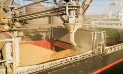 Deniz yoluyla taşınan tahılda rekor
