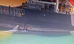 Mersin’de denizi kirleten gemiye 13 milyon TL ceza