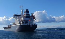 ELEVİT, Türk bayrağı çekti