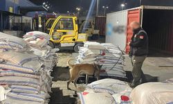 Gümrüklerde 828 milyon liralık uyuşturucu madde ele geçirildi