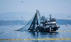 Denizlerde av yasağı 15 Nisan'da başlıyor