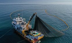 Balıkçılara 19,7 milyon liralık destek