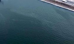 İzmir Körfezi’nde kirlilik alarmı