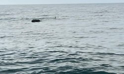 Kırklareli açıklarında tespit edilen mayın imha edildi