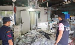 Antalya'da avlanması ve satışı yasak olan 603 kilo balığa el konuldu