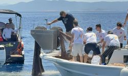 Bodrum'da 2 bin metrekare hayalet ağ temizlendi