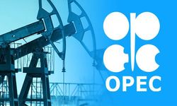 OPEC+ kota artışına ara vermeyi planlıyor