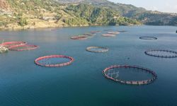 Su ürünleri ihracatı 9 ayda 1,8 milyar dolara ulaştı