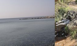 Marmara'da kirliliğe neden olan Yalova Katı Atık Birliği’ne 5 milyon lira ceza