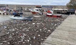 Zonguldak Limanı çöplüğe döndü