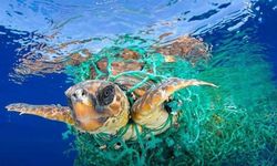 Dünyanın en büyük çöp denizi: Akdeniz!!!