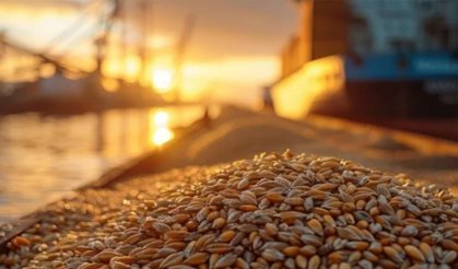 Çin’in değişen tahıl politikası küresel ticaret dengelerini etkiliyor