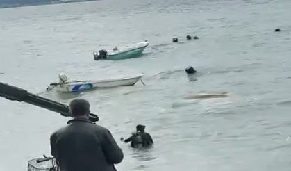 Lodosun batırdığı tekneler vinçle denizden çıkarılıyor
