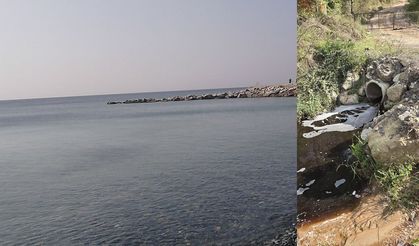 Marmara'da kirliliğe neden olan Yalova Katı Atık Birliği’ne 5 milyon lira ceza