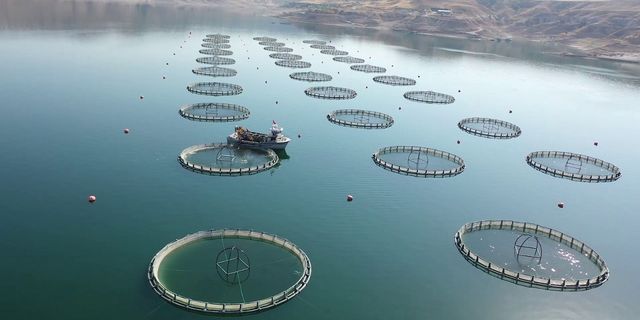 Su ürünleri ihracatından 1,7 milyar dolar gelir