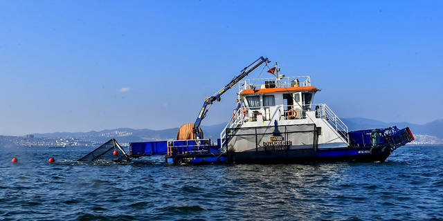 İzmir Körfezi’ne deniz patlıcanlarının üremesi için kafesler konuldu