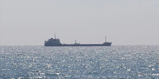 Rusya'nın tehditlerine aldırış etmeyen 3 gemi, Tuna'ya yanaştı