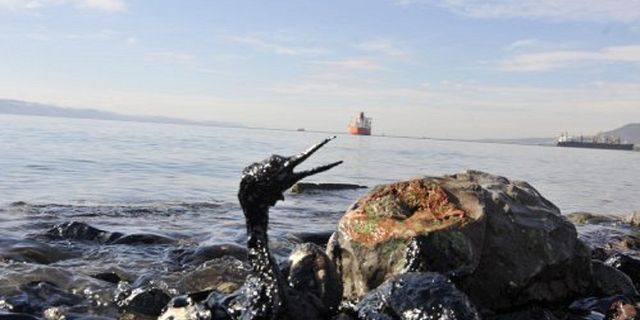 İran kıyılarındaki petrol boru hattında sızıntı sürüyor