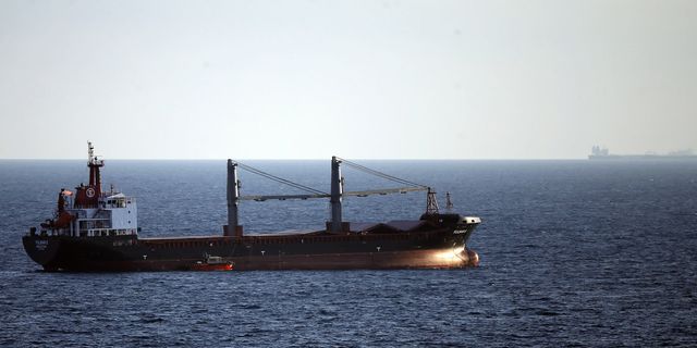 Zelenskiy: 500'e yakın tahıl gemisi limanlarımızdan ayrıldı