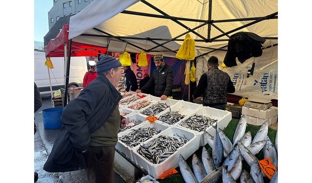 Balık fiyatlarına soğuk hava zammı