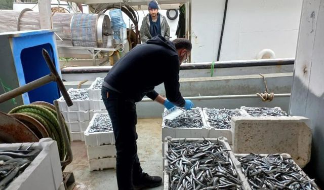 Su ürünleri denetiminde 57 kişiye 2 milyon 170 bin TL ceza