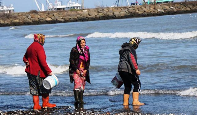 Kadın balıkçılara gemi başına yüzde 35 daha fazla destek
