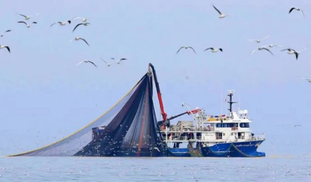 Büyük balıkçı tekneleri için denizlerde av yasağı başlıyor