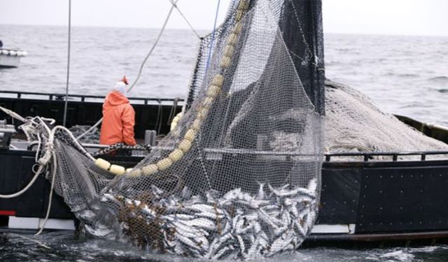 Yasa dışı avlananlara 91 bin TL ceza kesildi