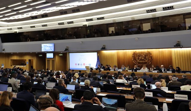 IMO denizcilerin haklarını korumak için harekete geçiyor