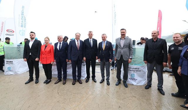 Körfez diriliyor: İzmit'te 54 bin balıkla mavi devrim