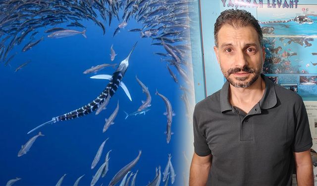 Akdeniz’de deniz suyu sıcaklığı arttı zehirli balıklar geldi