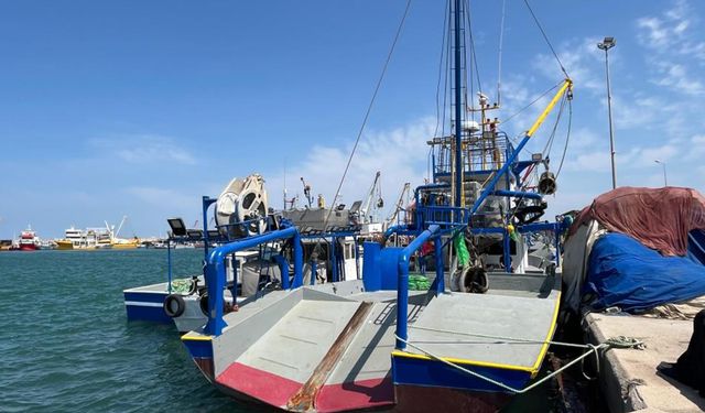 İzmir'de deniz kirliliği balığı vurdu