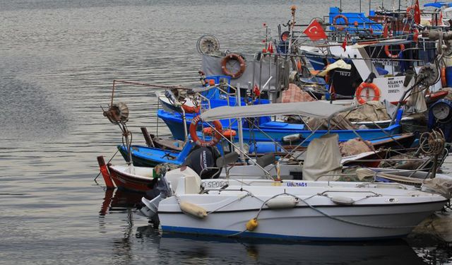 Marmara'nın küçük balıkçılarına müsilaj desteği geliyor