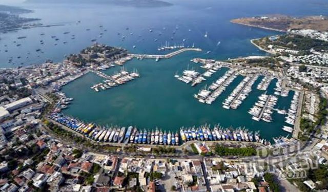 "Yat sayısındaki artış koylardaki yaşamı yok olma noktasına getirdi"