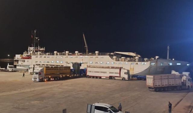 Çelebi Limanı'nda 'yüzen ahır' tepkisi