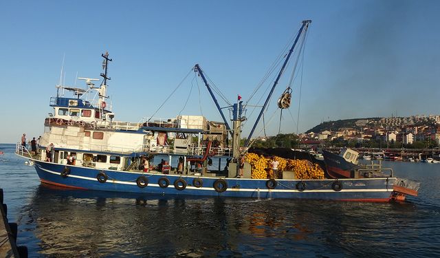 Balıkçılar hamsi göçü endişesi yaşıyor